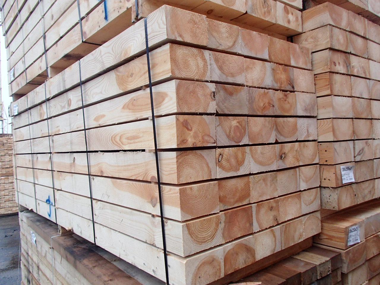 Euro Trading Company is leading timber merchant agency in Latvia